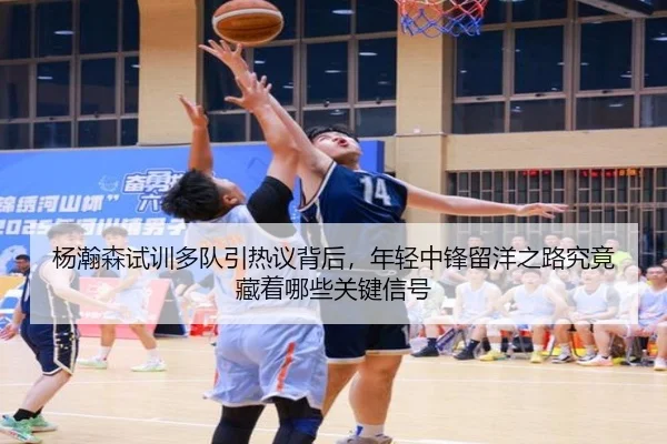 杨瀚森试训多队引热议背后，年轻中锋留洋之路究竟藏着哪些关键信号 - DouYu