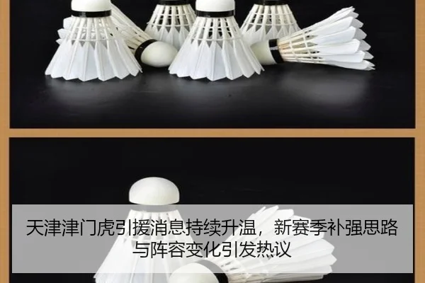 天津津门虎引援消息持续升温，新赛季补强思路与阵容变化引发热议 - DouYu